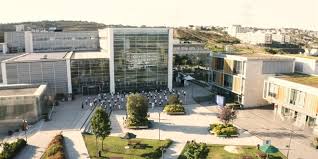 Ozyegin University