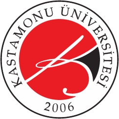 KASTAMONU UNİVERSİTETİ