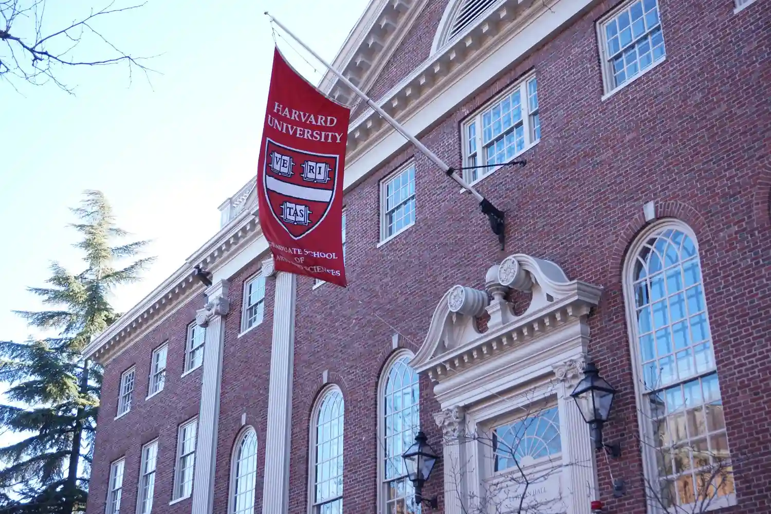HARVARD STEM SERTİFİKAT PROQRAMI